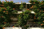 Hotel Flisvos