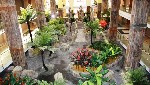 Hotel Holiday Polynesia