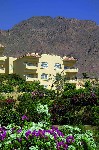 Hotel  Sonesta Beach Resort Taba