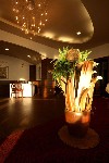 Hotel Art and Fit Hotel Kikelet