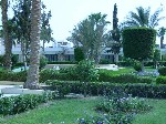 Hotel Shedwan Golden Beach