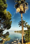 Hotel Omer Holiday Resort