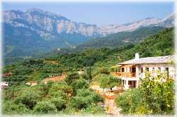 Hotel Alexis New Villas