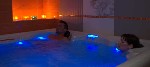 Hotel Blue Dolphin