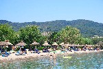 Hotel Delfinia