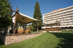 Hotel Detelina
