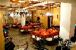 Hotel Kaphouse