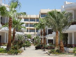 Hotel Marlin Inn Hotel