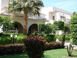 Hotel Pharao Hotels Waves Resort Beach