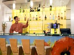 Hotel Ibis Gyor
