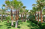 Hotel Kemal Bay