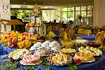 Hotel Oasis