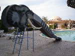 Hotel Roma Hotel