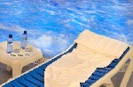 Hotel Caprici Verd