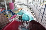 Hotel Hunguest Hotel Forras