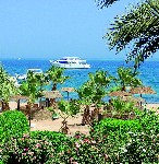 Hotel Lotus Bay Safaga