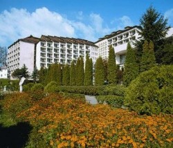 Hotel Somesul
