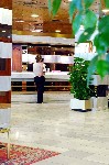 Hotel H TOP Royal Sun