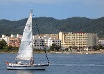 Hotel Sol Pinet Playa