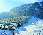 Hotel Alpina
