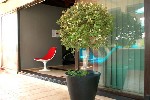Hotel Despotiko Apartment and Suites