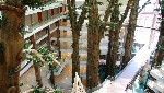 Hotel Holiday Polynesia