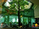 Hotel Sunshine Club Magnolia and Spa
