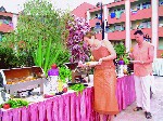 Hotel Vera Santa Maria