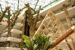 Hotel Holiday Polynesia